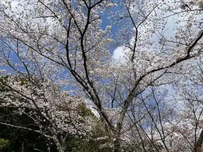 宝菩提院願徳寺(京都府)