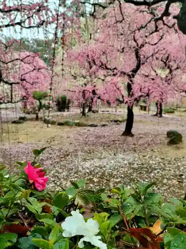 結城神社の庭園