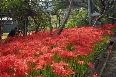 鰐鳴八幡宮(山口県)