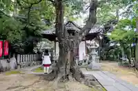 城山稲荷の本殿・本堂