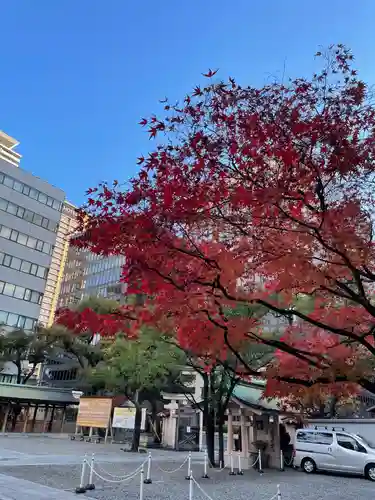 坐摩神社の自然