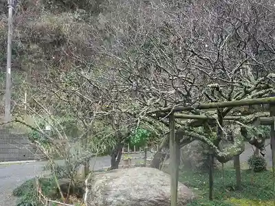 光則寺(神奈川県)