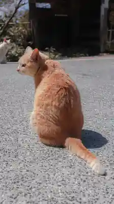 百済寺(滋賀県)