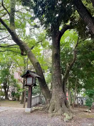 洲崎大神(神奈川県)
