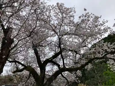 石切劔箭神社上之社(大阪府)