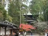 円覚寺(神奈川県)