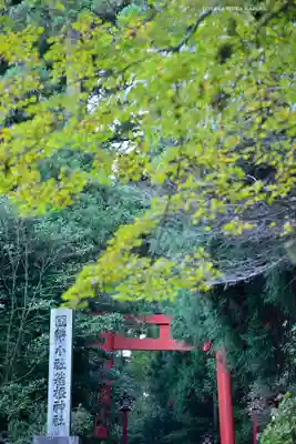 箱根神社(神奈川県)