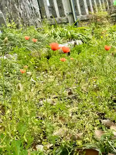 玉田神社(京都府)