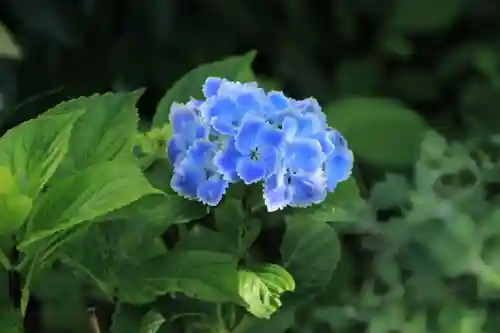 豊景神社の自然