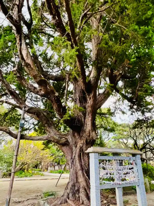 宝戒寺(神奈川県)