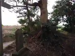 住吉神社の建物その他