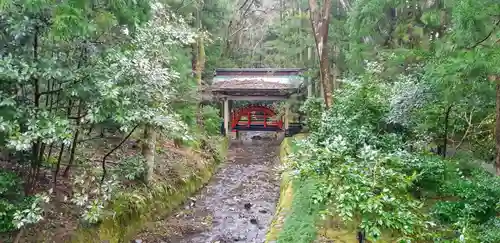 彌彦神社の庭園