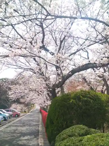 法輪寺の景色