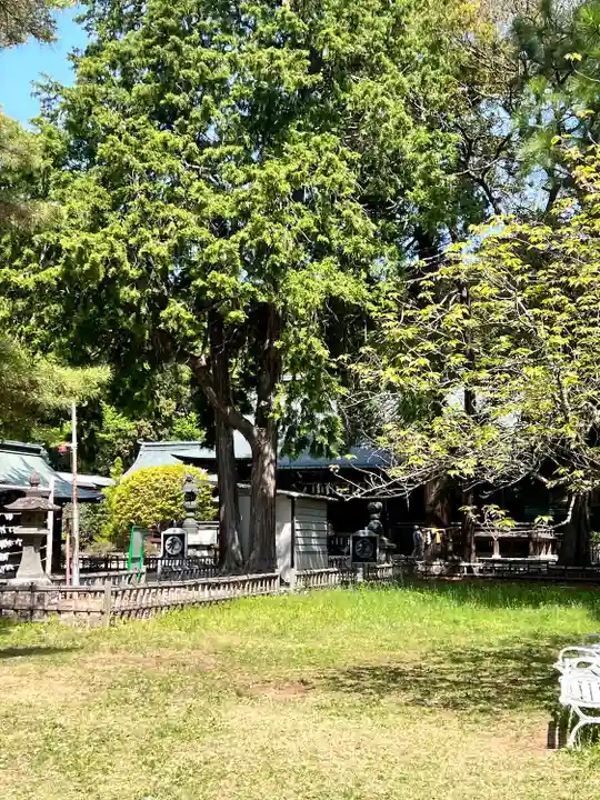 青葉神社(宮城県)