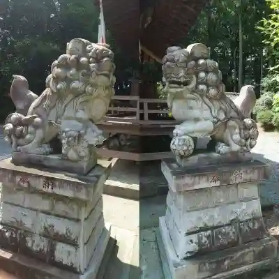 辛科神社(群馬県)