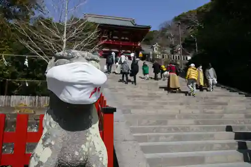 鶴岡八幡宮の狛犬