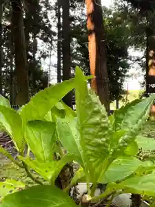 大宮温泉神社(栃木県)(2023年07月18日(火) 16時46分12秒投稿)