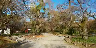平野神社(京都府)