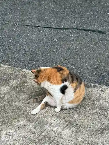 賀茂別雷神社(栃木県)