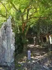 藤井寺の建物その他