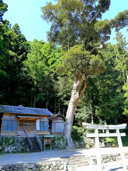 諏訪神社の鳥居