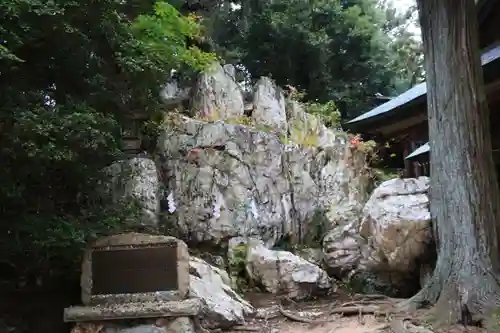 鹿島大神宮の自然