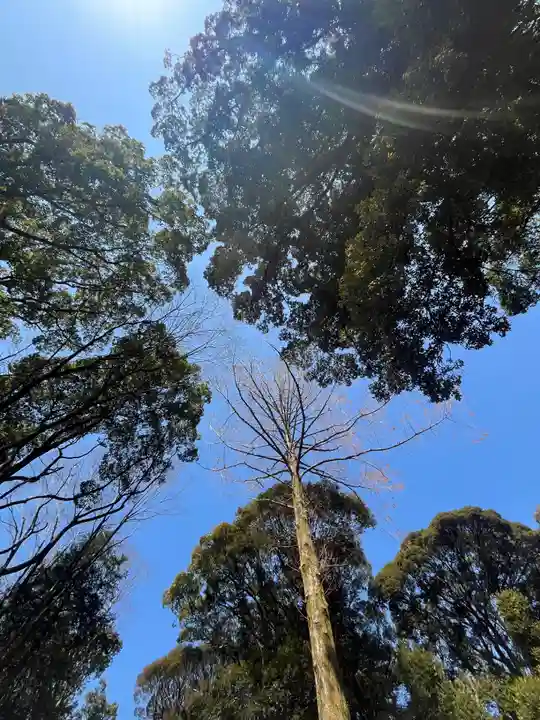 砥鹿神社(里宮)(愛知県)