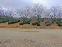 馬頭神明宮の自然