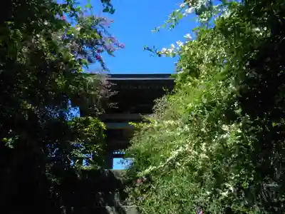 海蔵寺の山門・神門