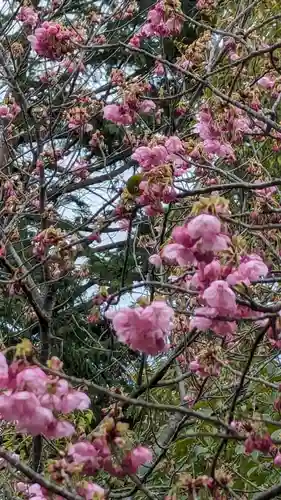 熊野若王子神社(京都府)