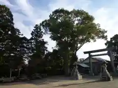 飯野神社(三重県)