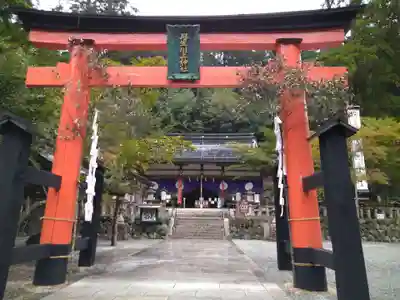 丹生川上神社（中社）(奈良県)