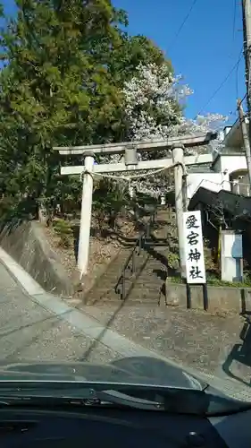 愛宕神社の鳥居