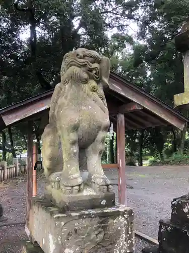 川田八幡神社の狛犬