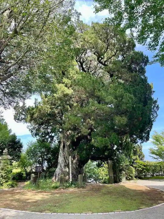 城願寺(神奈川県)