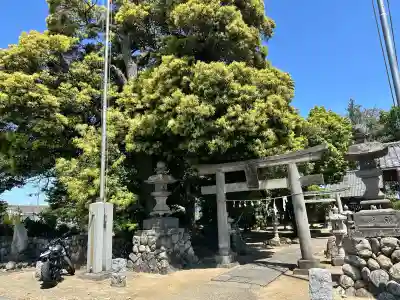 七社神社の{uncategorized: "未分類", other: "その他", undefined: "問題あり", building: "その他建物", grave: "お墓", sacred_gate: "鳥居", guardian: "狛犬", statue: "像", buddha: "仏像", history: "歴史", nature: "自然", garden: "庭園", animal: "動物", pagoda: "塔", temizu: "手水舎", mountain_gate: "山門・神門", sanctuary: "本殿・本堂", subordinate: "末社・摂社", art: "芸術", scenery: "景色", jizo: "地蔵", ema: "絵馬", goshuin: "御朱印", omikuji: "おみくじ", items: "授与品その他", amulet: "お守り", goshuincho: "御朱印帳", eats: "食事", festival: "お祭り", votive_dance: "神楽", shichigosan: "七五三参", wedding: "結婚式", experience: "体験その他", initially: "初詣", around: "周辺", anti_infection: "感染症対策"}