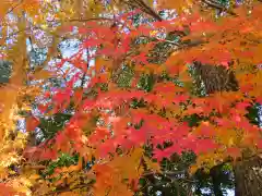 伊勢神宮内宮（皇大神宮）の自然