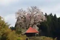 十一面観音堂の景色