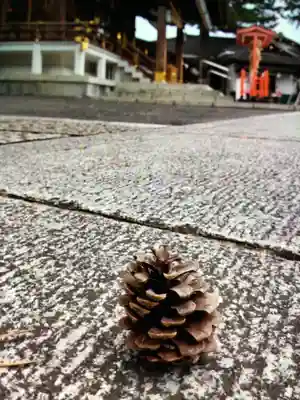 中野沼袋氷川神社(東京都)