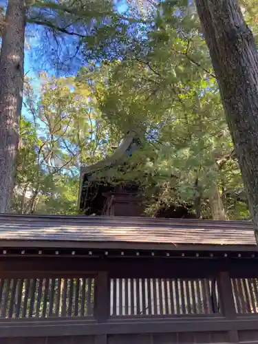 姫路神社の本殿・本堂