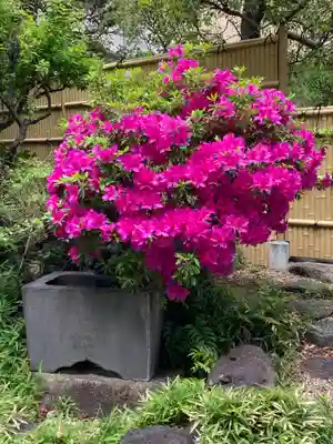 西蓮寺(千葉県)