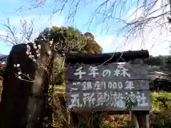 五所駒瀧神社の周辺