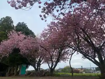 台渡里八幡神社(茨城県)