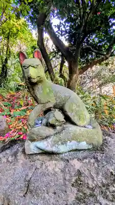白金氷川神社の狛犬