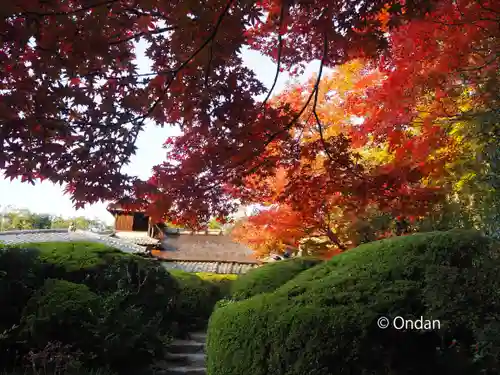 詩仙堂（丈山寺）の庭園