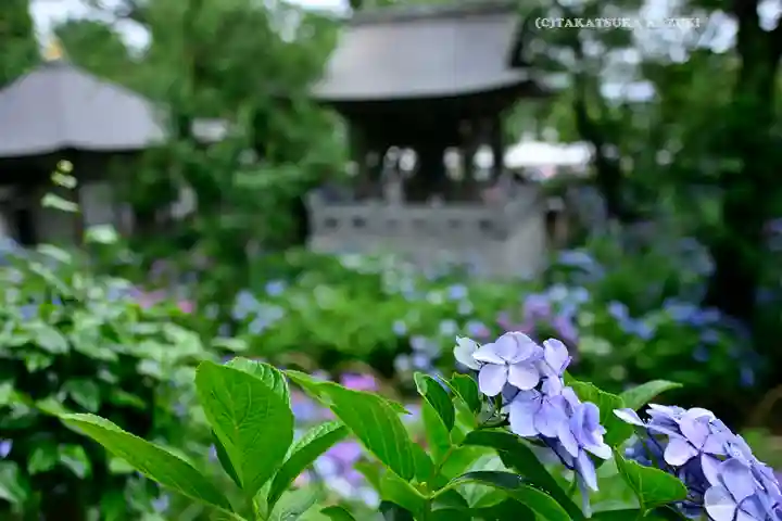 妙楽寺(神奈川県)