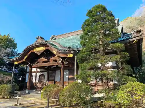 妙本寺の本殿・本堂