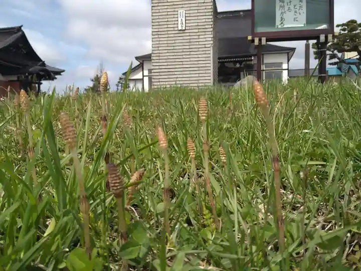 雨竜 専福寺(北海道)