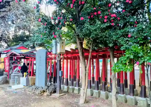 花園神社(東京都)