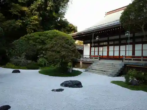 報国寺の庭園